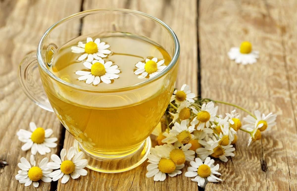 دمنوش بابونه